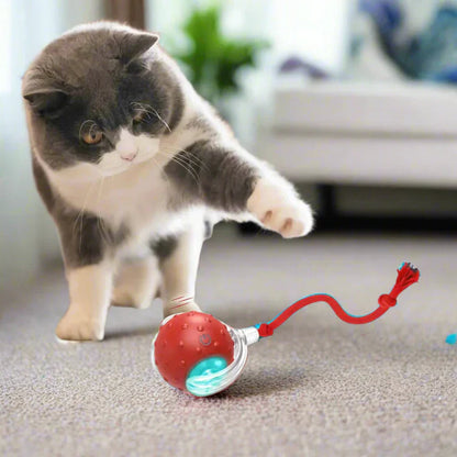 Cat Dancing Ball